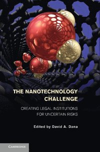 bokomslag The Nanotechnology Challenge