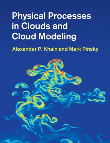 bokomslag Physical Processes in Clouds and Cloud Modeling