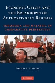 Thomas B. Pepinsky - Economic Crises and the Breakdown of Authoritarian Regimes, Inbunden