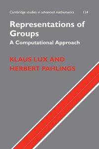 bokomslag Representations of Groups