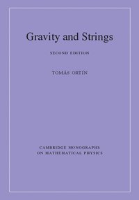 bokomslag Gravity and Strings