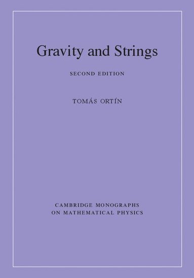 bokomslag Gravity and Strings