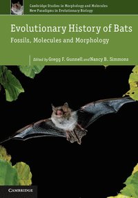 bokomslag Evolutionary History of Bats
