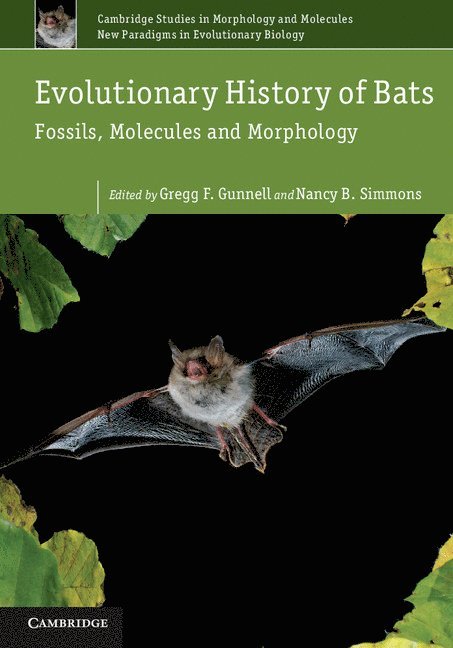 Evolutionary History of Bats