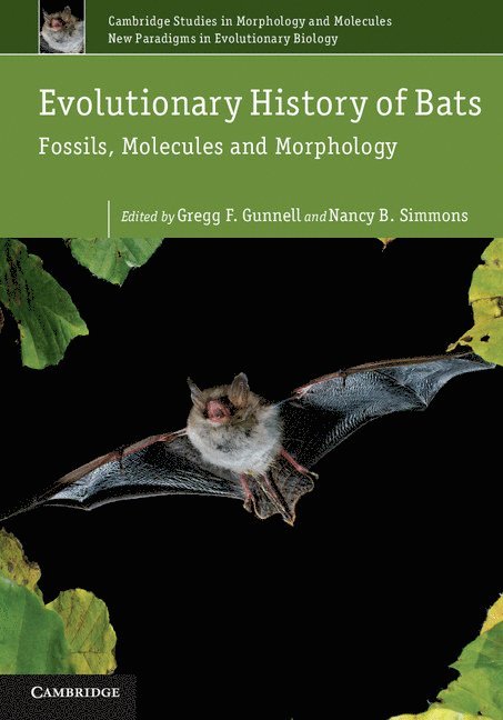 Evolutionary History of Bats 1