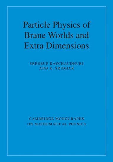 Sreerup Raychaudhuri, K. Sridhar - Particle Physics of Brane Worlds and Extra Dimensions, Inbunden