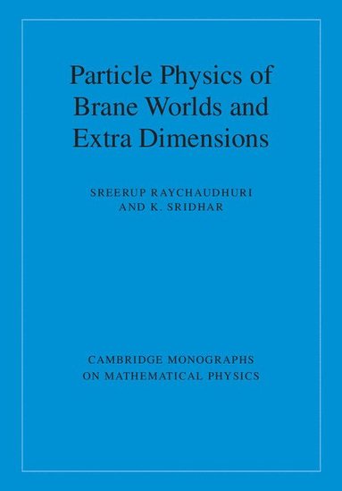 bokomslag Particle Physics of Brane Worlds and Extra Dimensions