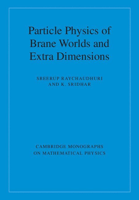 Particle Physics of Brane Worlds and Extra Dimensions 1