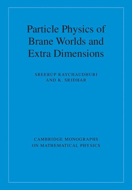 Particle Physics of Brane Worlds and Extra Dimensions