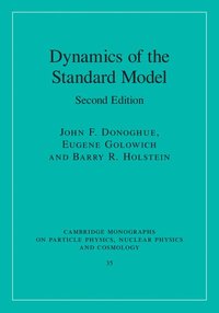 bokomslag Dynamics of the Standard Model