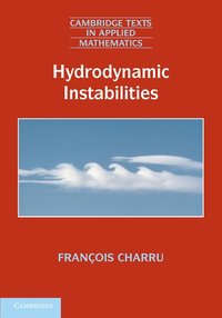bokomslag Hydrodynamic Instabilities