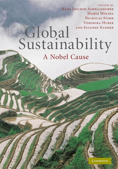 Hans Joachim Schellnhuber, Mario Molina, Nicholas Stern, Veronika Huber, Susanne Kadner - Global Sustainability, Inbunden
