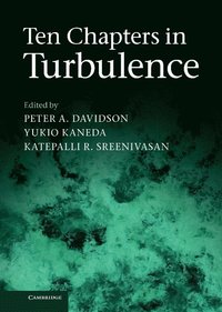 bokomslag Ten Chapters in Turbulence