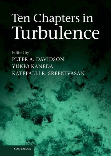 Peter A. Davidson, Yukio Kaneda, Katepalli R. Sreenivasan - Ten Chapters in Turbulence, Inbunden