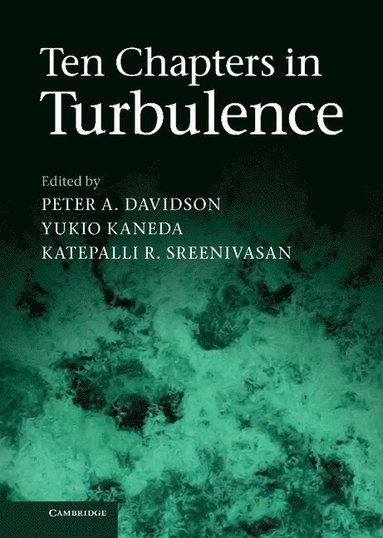 bokomslag Ten Chapters in Turbulence