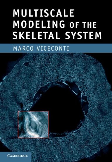 Marco Viceconti - Multiscale Modeling of the Skeletal System, Inbunden