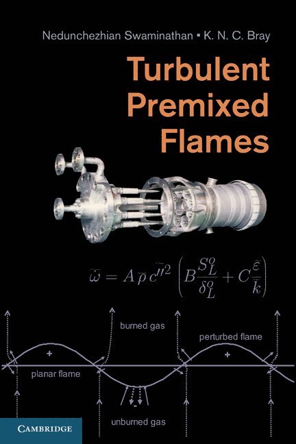 Turbulent Premixed Flames 1