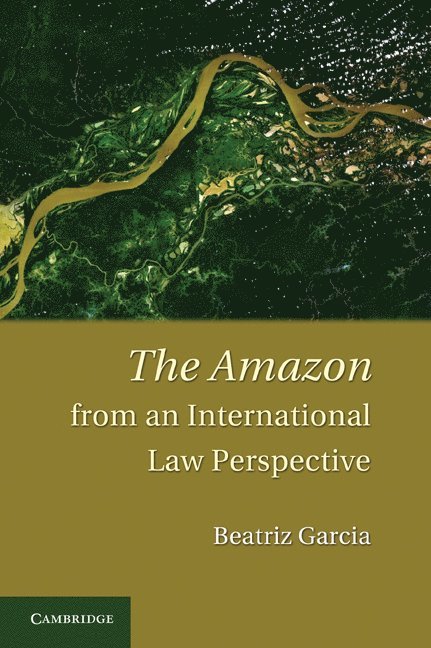 The Amazon from an International Law Perspective 1