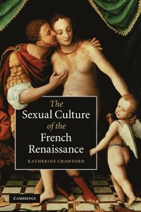 bokomslag The Sexual Culture of the French Renaissance