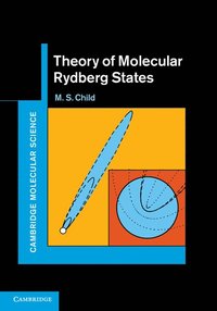 bokomslag Theory of Molecular Rydberg States