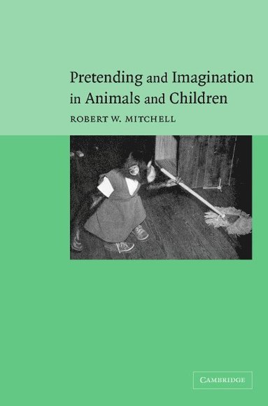 bokomslag Pretending and Imagination in Animals and Children