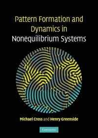 bokomslag Pattern Formation and Dynamics in Nonequilibrium Systems