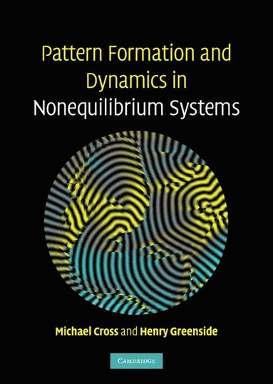 bokomslag Pattern Formation and Dynamics in Nonequilibrium Systems