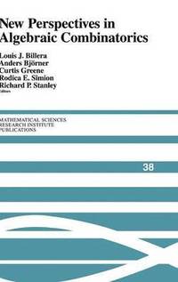 bokomslag New Perspectives in Algebraic Combinatorics