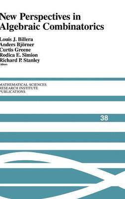 bokomslag New Perspectives in Algebraic Combinatorics