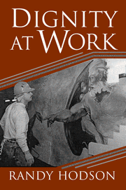 Randy (Ohio State University) Hodson, Randy Hodson - Dignity at Work, Inbunden