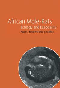 bokomslag African Mole-Rats