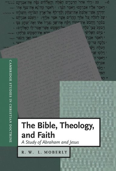 bokomslag The Bible, Theology, and Faith