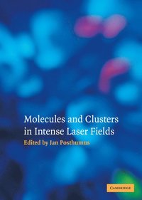 bokomslag Molecules and Clusters in Intense Laser Fields