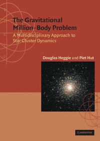 bokomslag The Gravitational Million-Body Problem