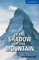 In the Shadow of the Mountain Level 5 1