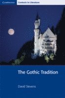 bokomslag The Gothic Tradition