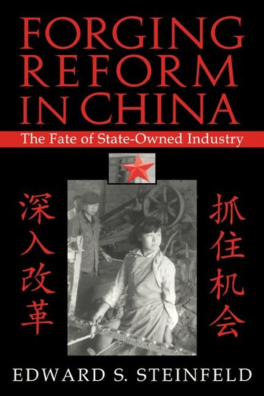 bokomslag Forging Reform in China