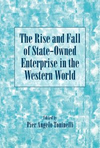 bokomslag The Rise and Fall of State-Owned Enterprise in the Western World