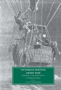 bokomslag Victorian Writing about Risk: Imagining a Safe England in a Dangerous World