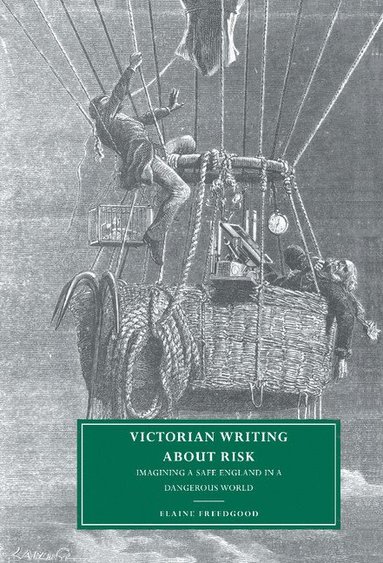 bokomslag Victorian Writing about Risk: Imagining a Safe England in a Dangerous World