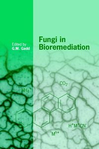 bokomslag Fungi in Bioremediation