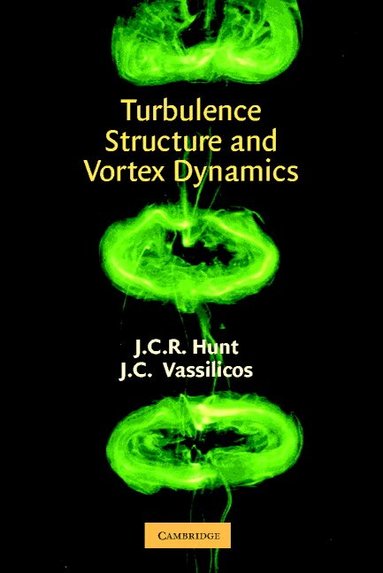 J. C. R. Hunt, J. C. Vassilicos - Turbulence Structure and Vortex Dynamics, Inbunden