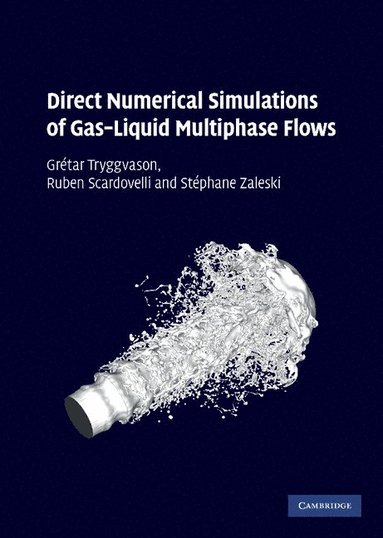 bokomslag Direct Numerical Simulations of Gas-Liquid Multiphase Flows