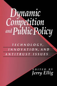 bokomslag Dynamic Competition and Public Policy