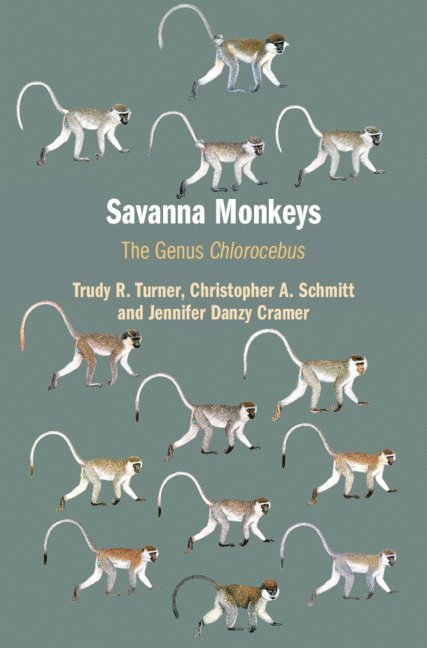 Savanna Monkeys 1