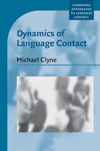 bokomslag Dynamics of Language Contact
