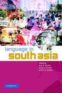 bokomslag Language in South Asia