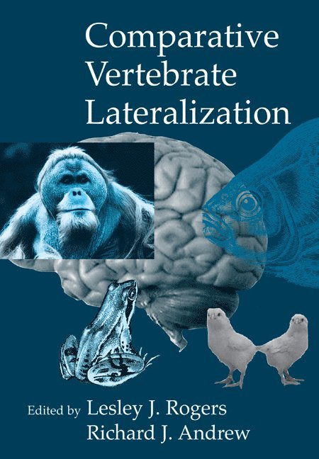 Australia) Rogers, Lesley J. (Emeritus Professor, University of New England, Richard (University of Sussex) Andrew, Lesley J. Rogers, Richard John Andrew - Comparative Vertebrate Lateralization, Häftad