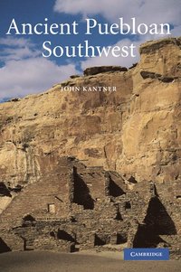 bokomslag Ancient Puebloan Southwest