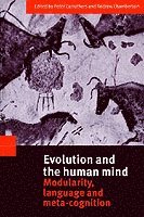 bokomslag Evolution and the Human Mind